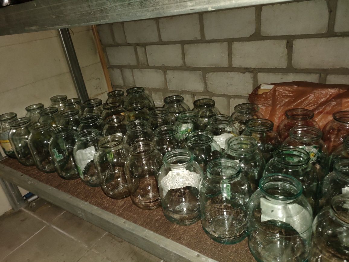 Банки на закрутки: 120 тг. - Прочие товары для дома Усть-Каменогорск на Olx