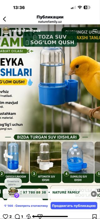 Kanareyka qushlari uchun qafas, don va suv idishlari