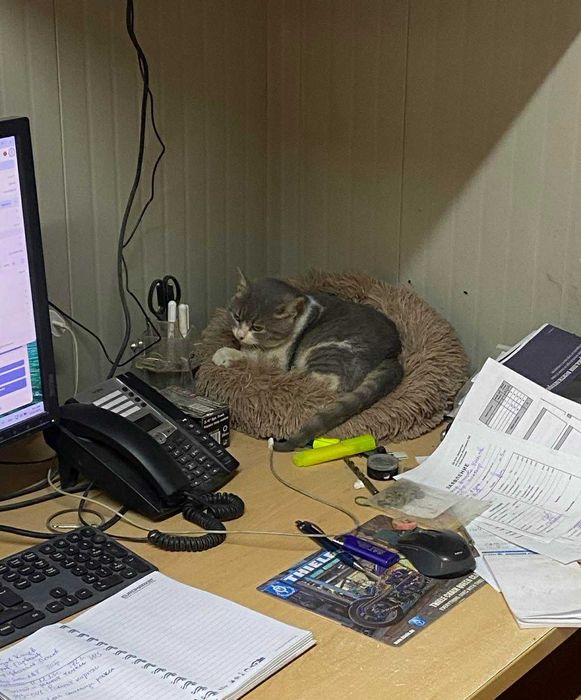 3/4-месечно момиченце от Враца търси дом!