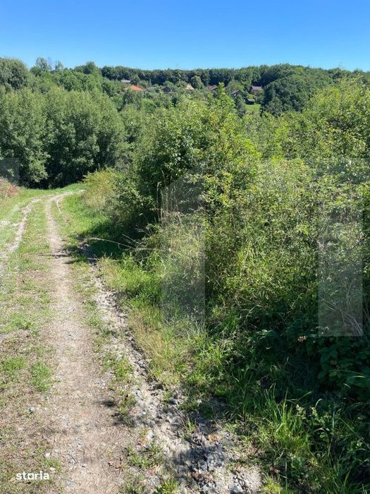 Teren 700 mp intravilan casele micesti