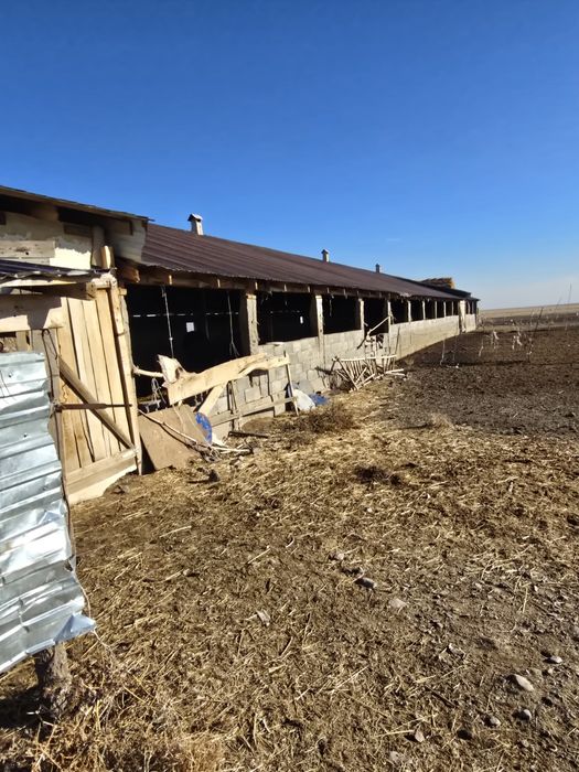 Фазенда мал шаруашылығына