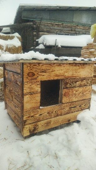 Продам будку для собак