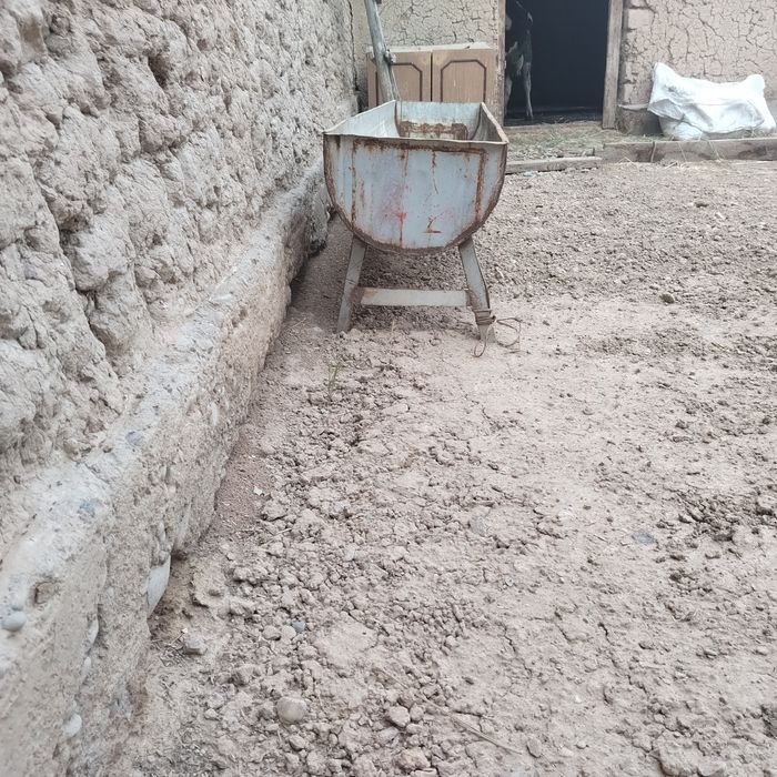 Mol VA qoylarning oxiri