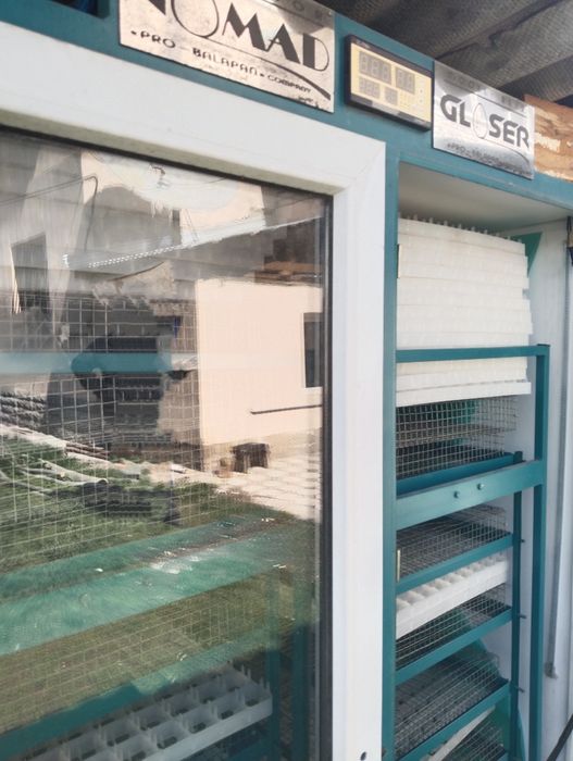 Инкубатор для яйц