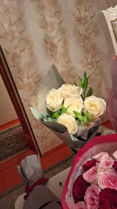 Цветый казыр келген