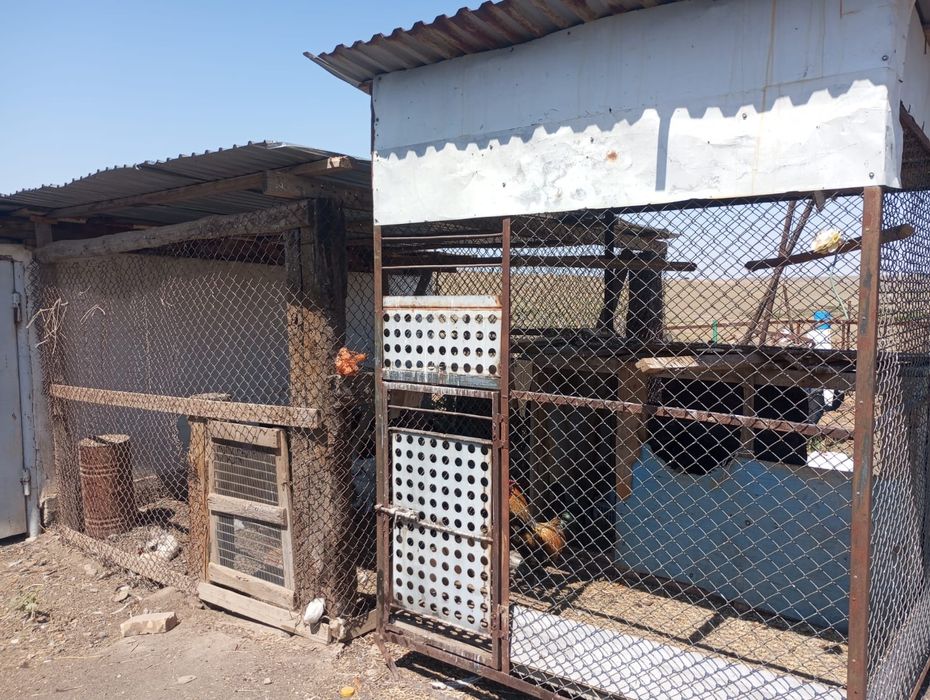 Фазенда сатамын!