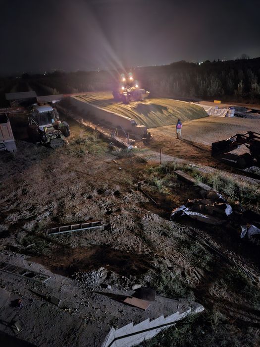 Силос кукурузный