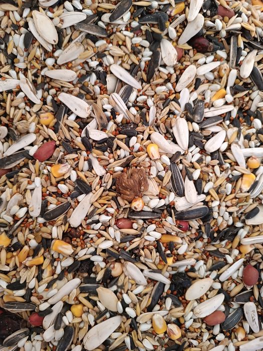 Корма для всех видов крупных попугаев