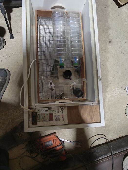 Инкубатор Норма Луппер