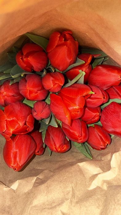 Тюлпаны свежие с луковицами оптом 24/7