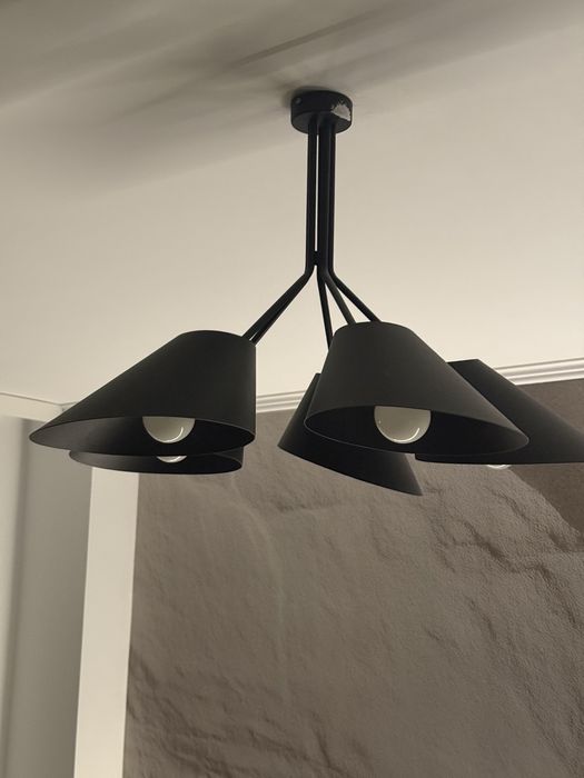 Lustra neagra metalica