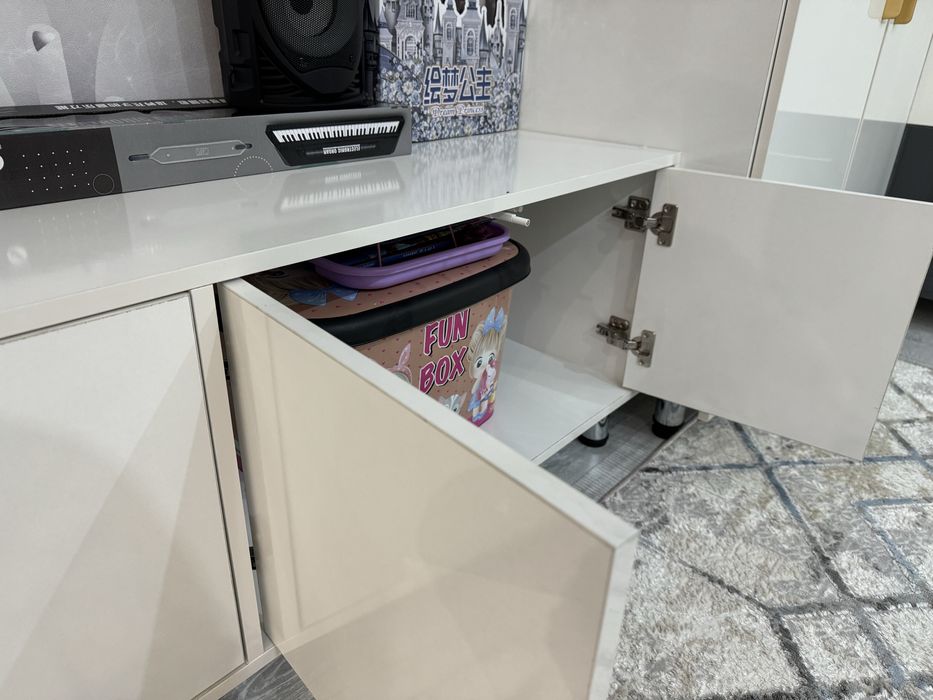 ТВ тумба с распашными дверцами