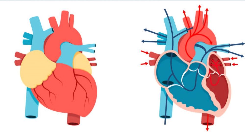 Meditații pentru examenul de bacalaureat biologie și admitere!!!