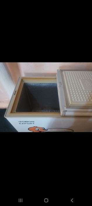 Morozilnik xolati zur.