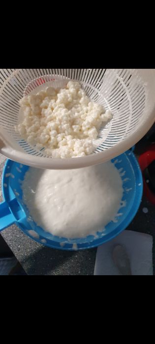 Ciuperca de kefir 30 grame