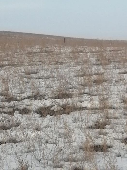 8 соток земли.