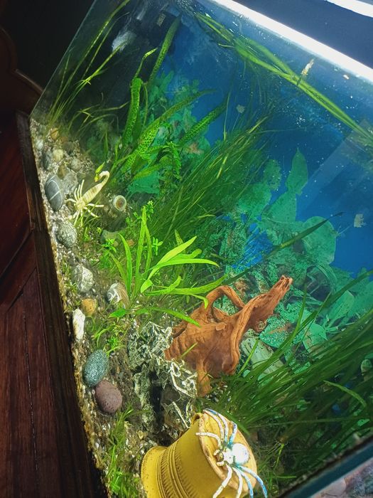 Продам аквариум с тумбой