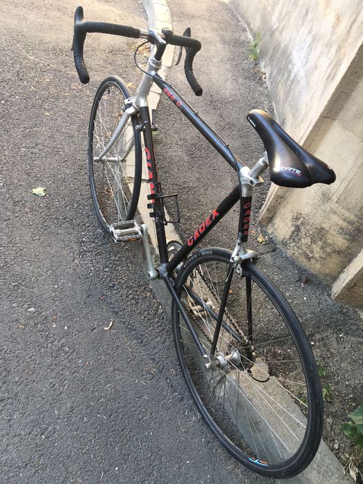Cursiera Giant carbon