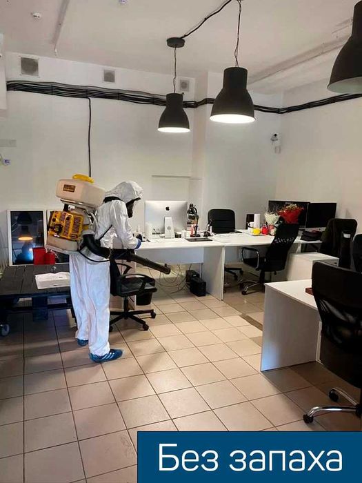 Дезинфекция от вредителей дезинсекция dizinfeksiya dezinfeksiya klapa