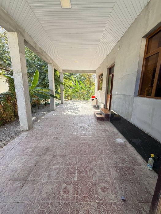 Плотина Абай.  Плотина Мол бозордан отканда 8 соток