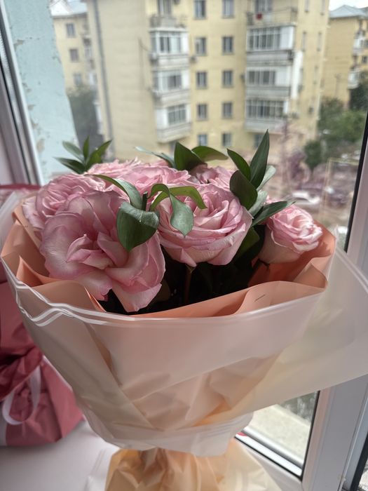 9 шт роза свежие