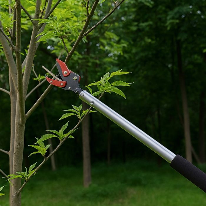 Ножица за клони и бране на плодове 100 см-прецизно рязане без стълба