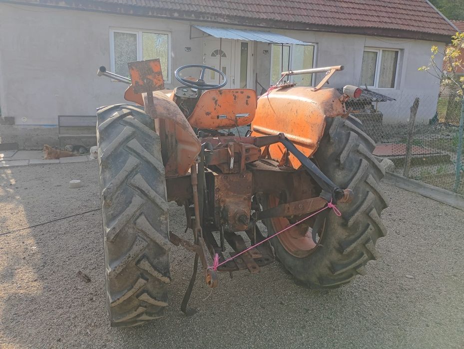 Tractor fiat 615 de vânzare  în Milova adus recent din Italia