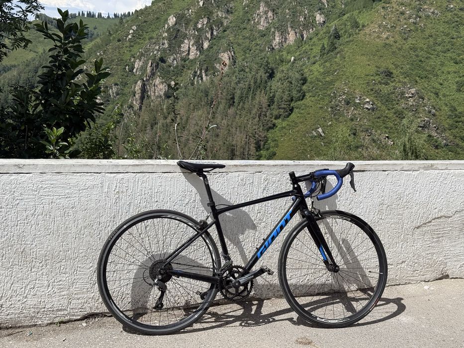Giant Contend 3 ИДЕАЛ
