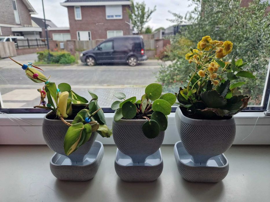 Самополиваща се Саксия за Цветя – Различни Цветове