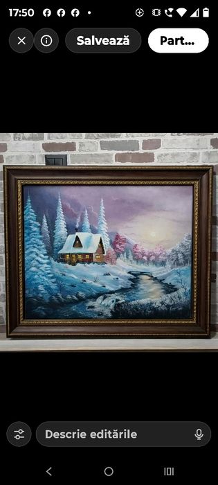 Tablouri pictate manual