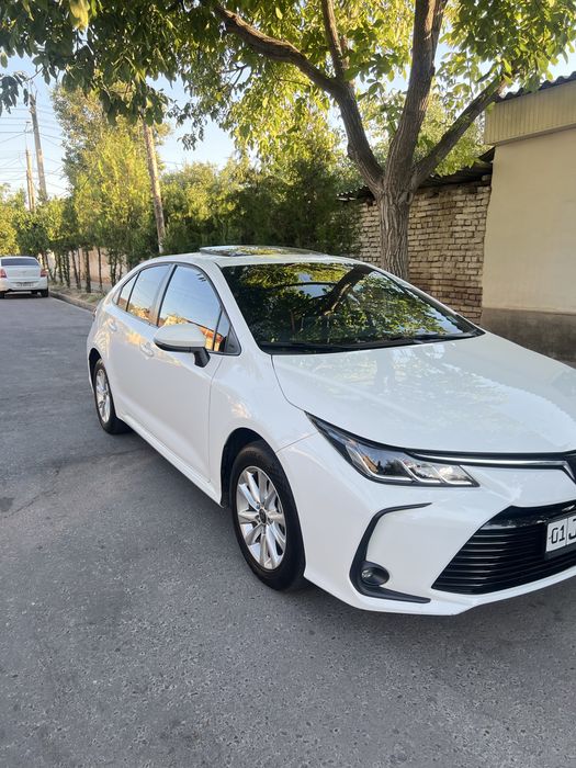 Toyota carolla 2024 yil