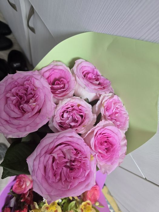 Гүл сатылады 2000 басталады