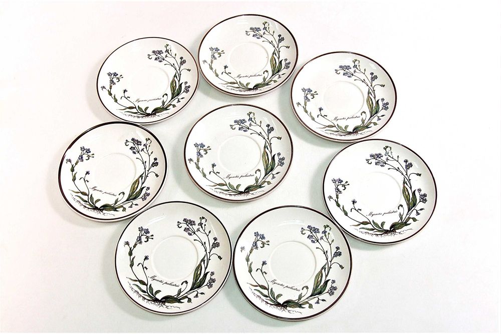 Set 8 farfurii Botanica Villeroy & Boch cu flori de "Nu ma uita", NOU