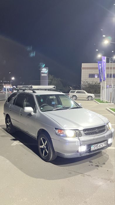 Продам живой корабел