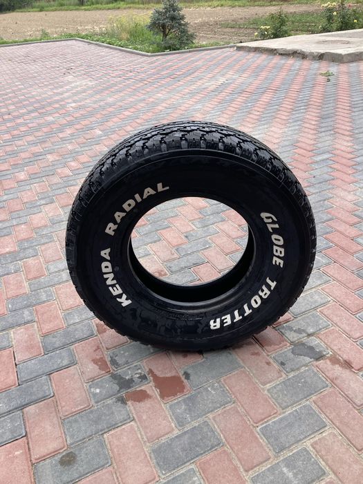 Шина на на вне дородник