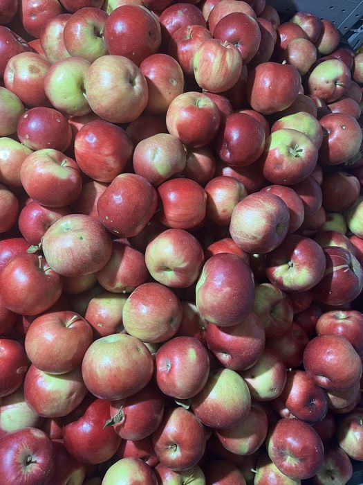 Mere diferite soiuri