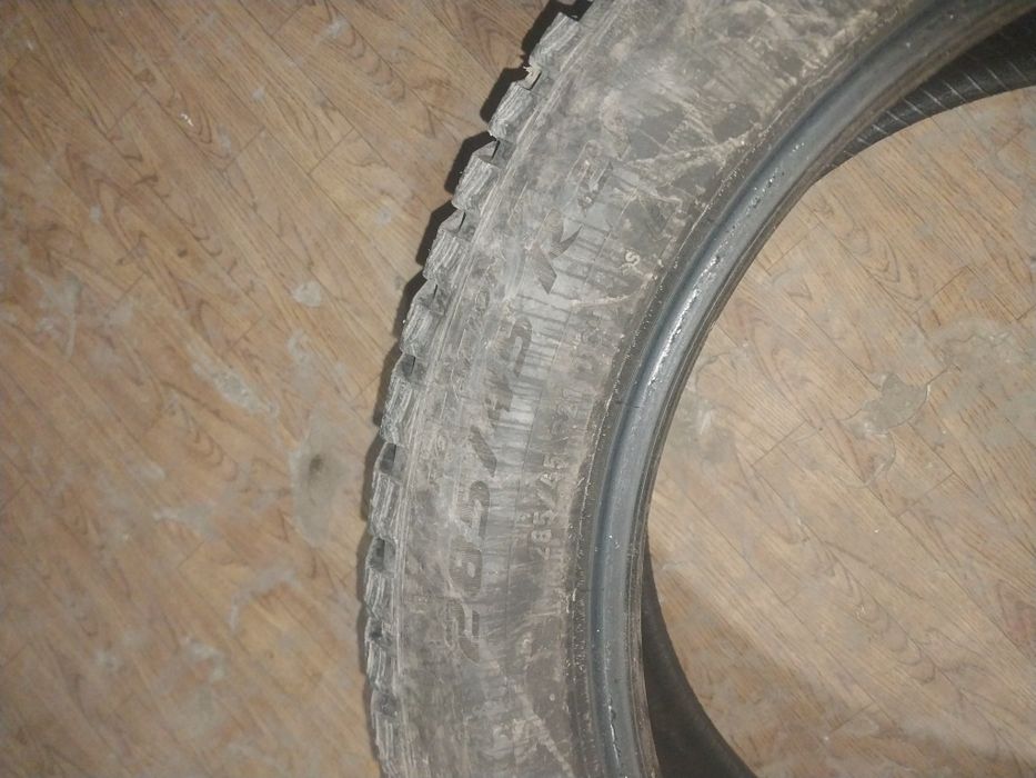 шина r21. шипованная