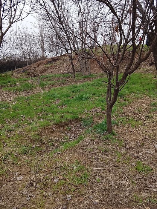 Yer sotiladi srochno