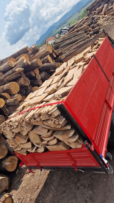 Lemn lemne de foc esență tare gata tăiate