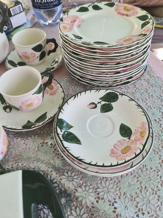 Wild-Rose  si Vileroy&Boch pictate de mana 41 de piese +plita electric