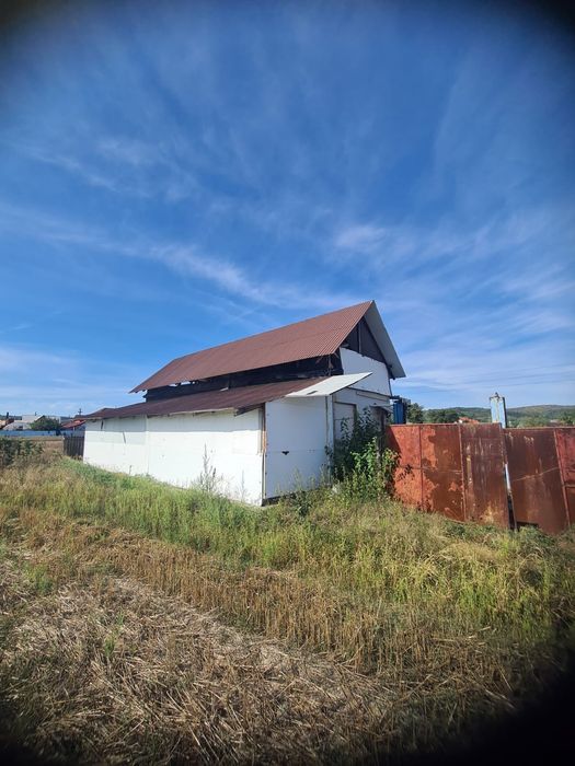 Vând teren intravilan 10 000 mp