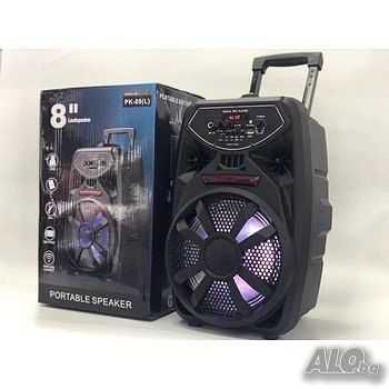 Тонколона PK-09L с вграден усилвател, FM тунер безжичен микрофон