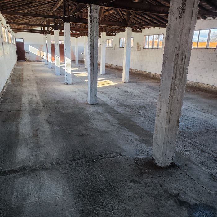 Давам Под наем 2 Халета с 5 дка. Двор + 2 рибарника