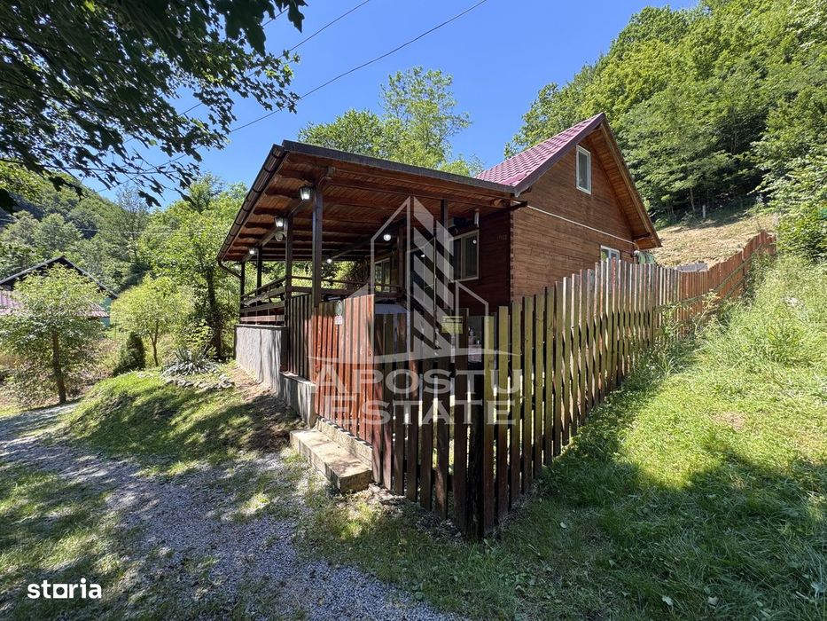 Casa din lemn, zona muntoasa, cu rau, la cheie, Ribita, Hunedoara