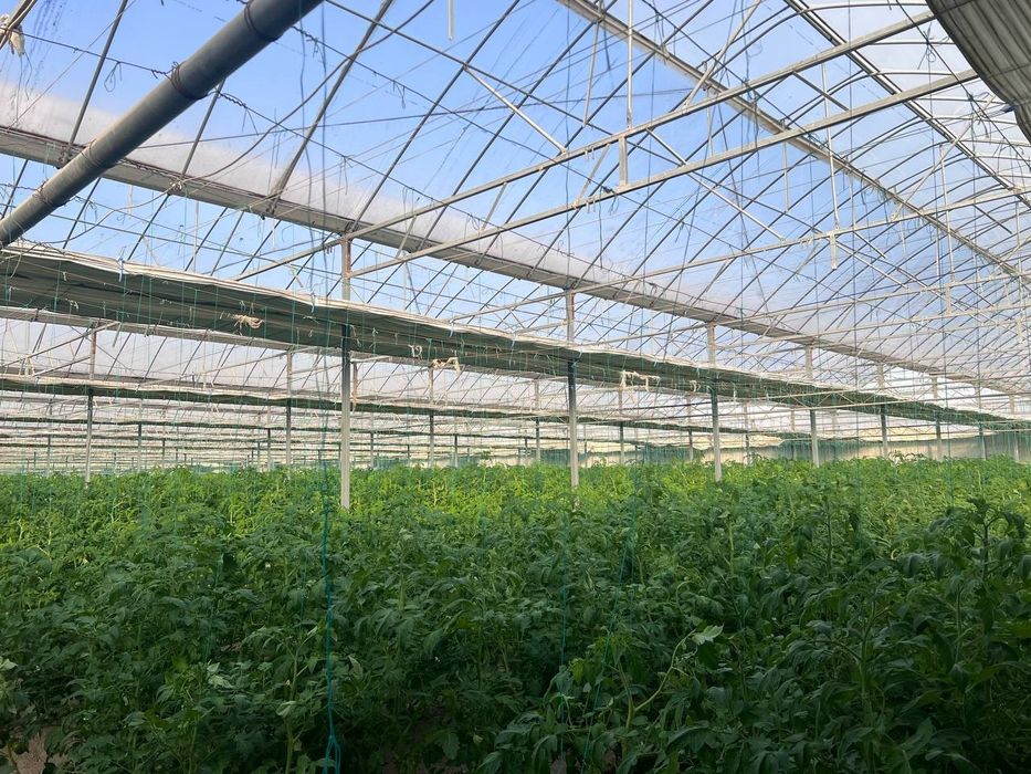 Buxoro shaxridan tayyor ishlab turgan issiqxona binosi  sotiladi