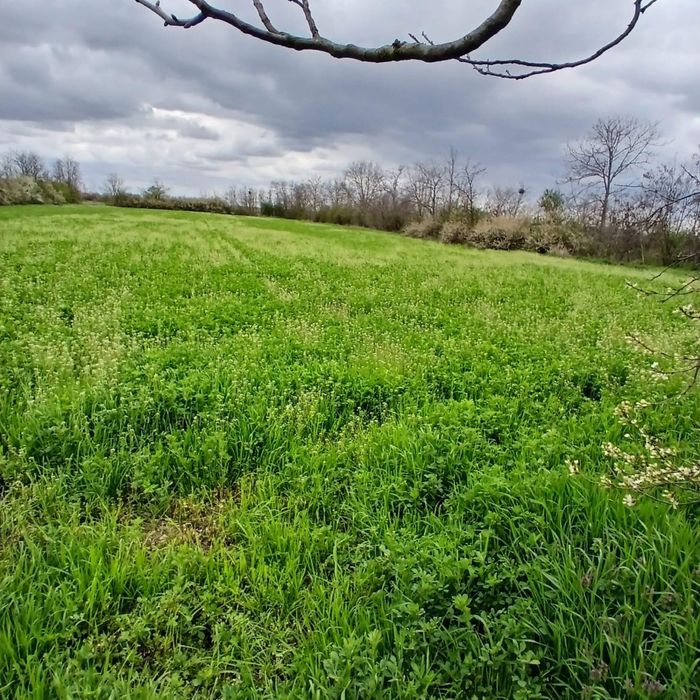 Vand 2 terenuri intravilane Hitias