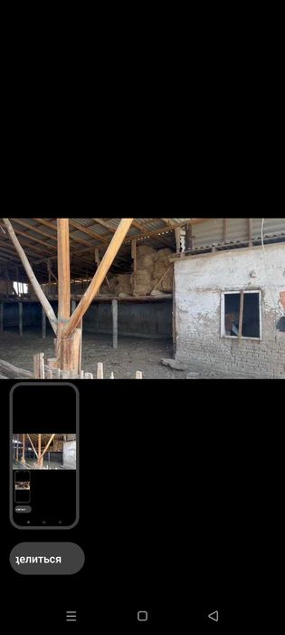 СРОЧНО ФЕРМА сотилади Рохат постидан 25км