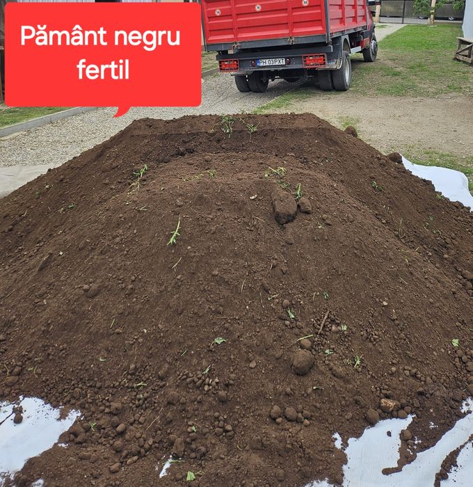 Pământ negru fertil