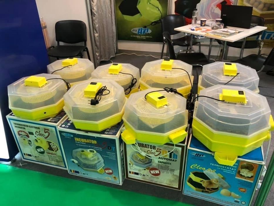 Incubator Cleo 5 DTh cu afișajul temp. și umiditate , apa din ext.