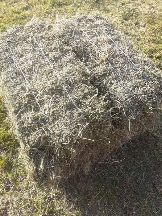 vând baloti de lucerna